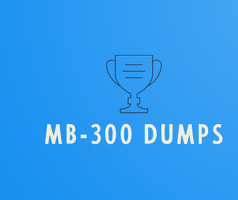 Microsoft MB-300 Real Exam Questions and Answers FREE